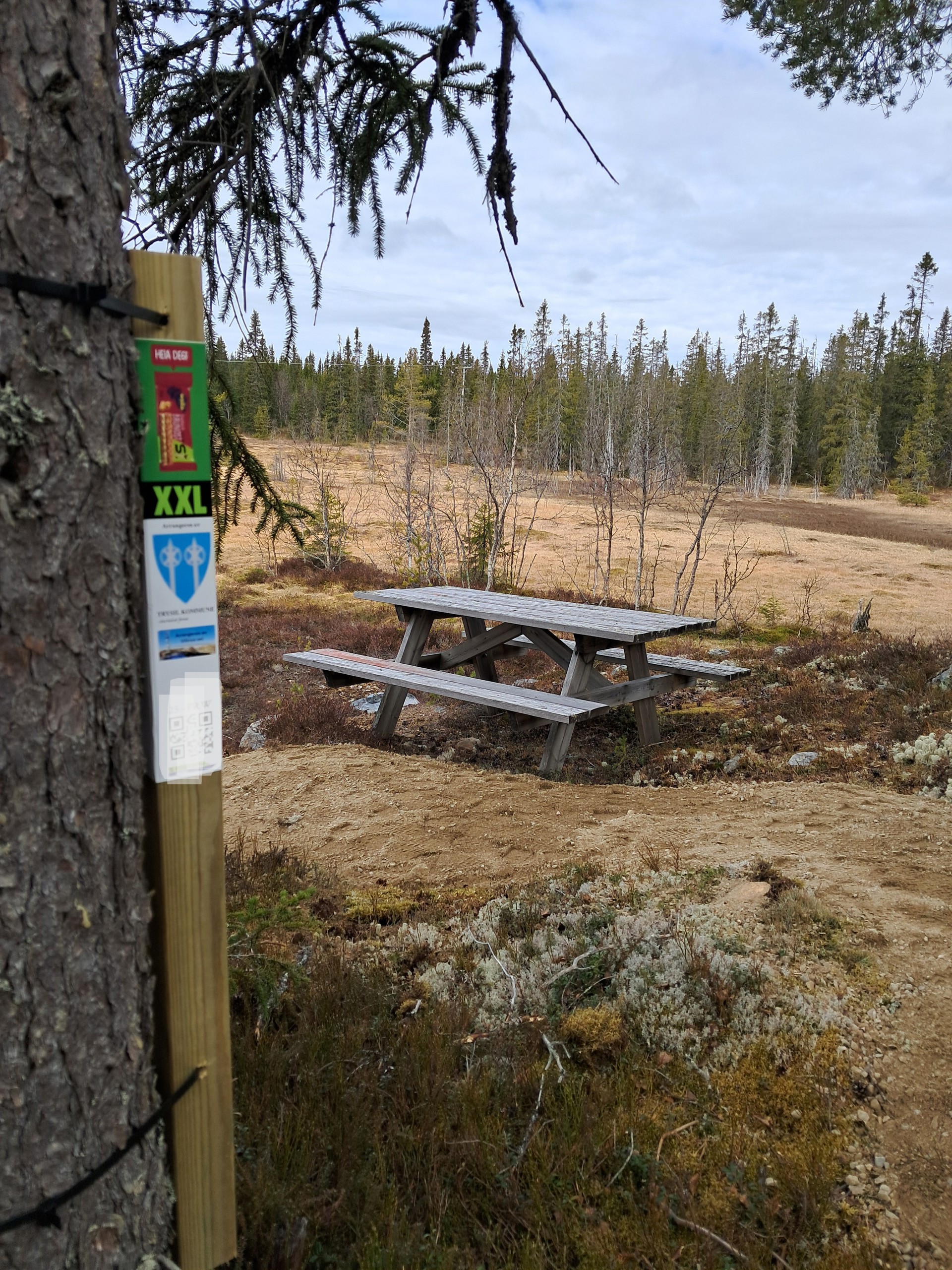 Stolpejakt i høstferien