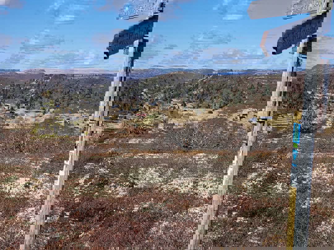 Når vi 2000 stolpebesøk ila pinsen?