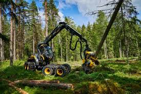 Artikkelbilde til artikkelen Hogst i Grasbekkåsen