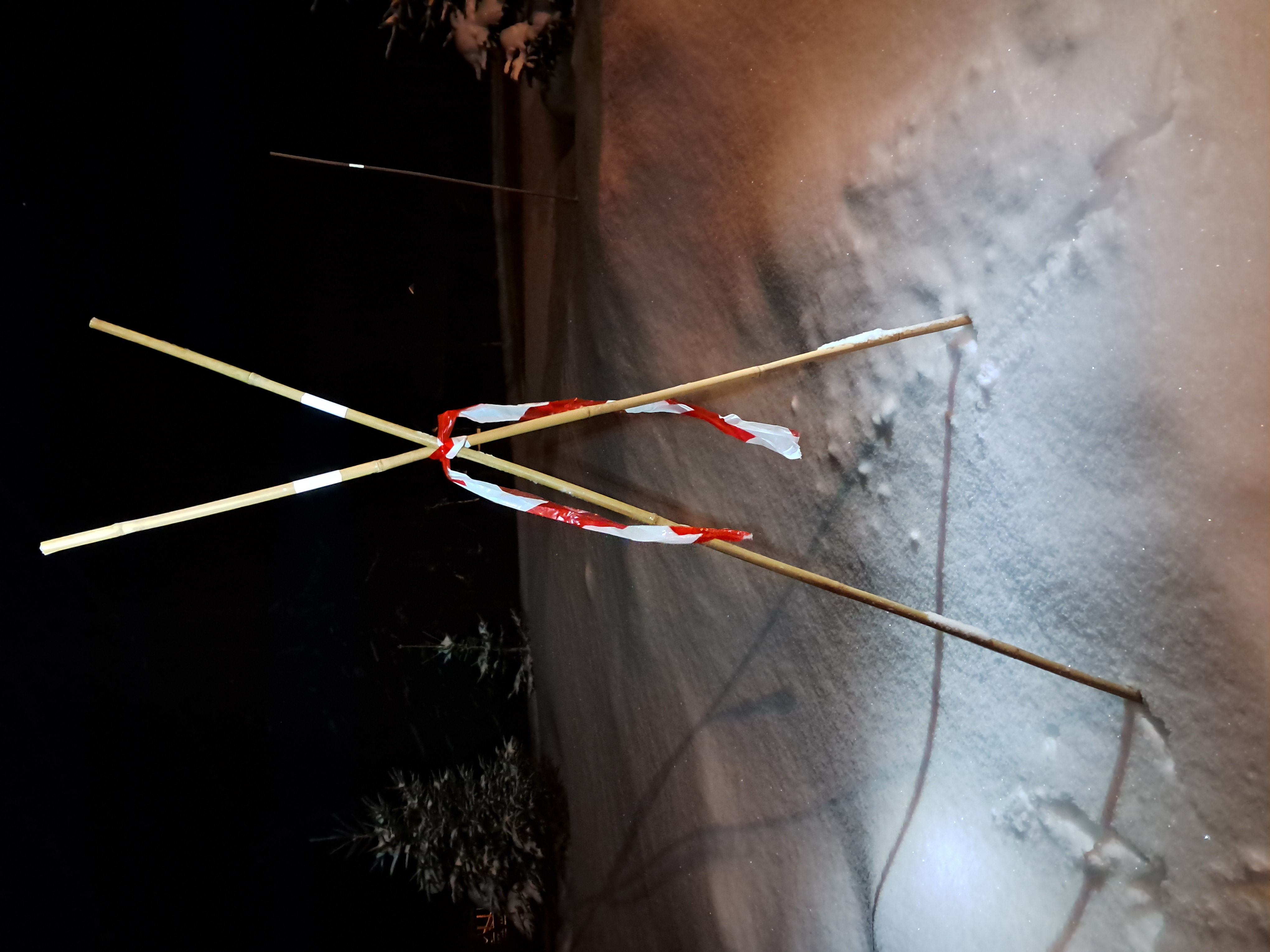 Artikkelbilde til artikkelen Husk merking før hogsten