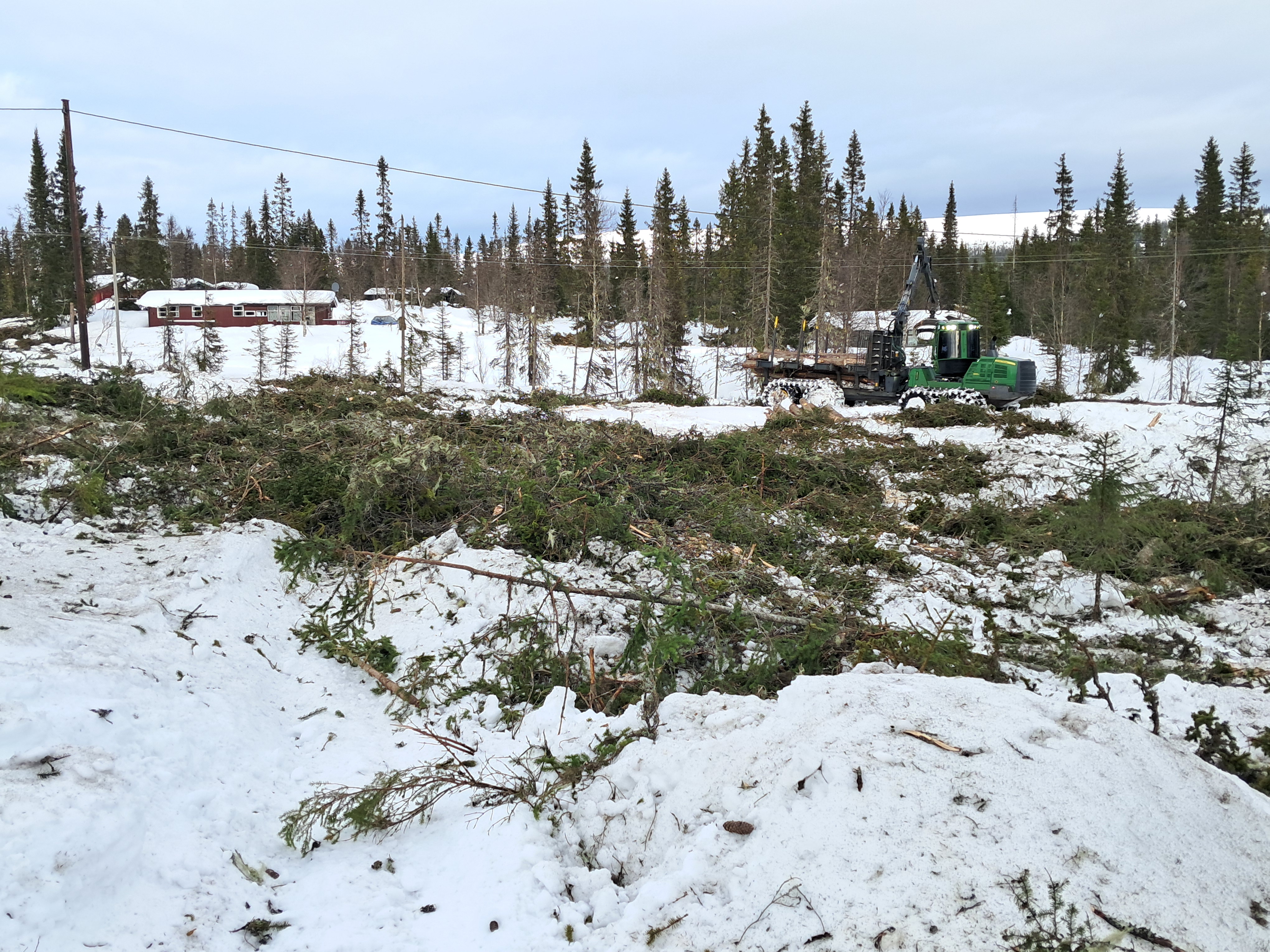 Artikkelbilde til artikkelen Det går raskt fremover med hogsten