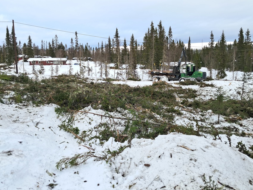 Det går raskt fremover med hogsten