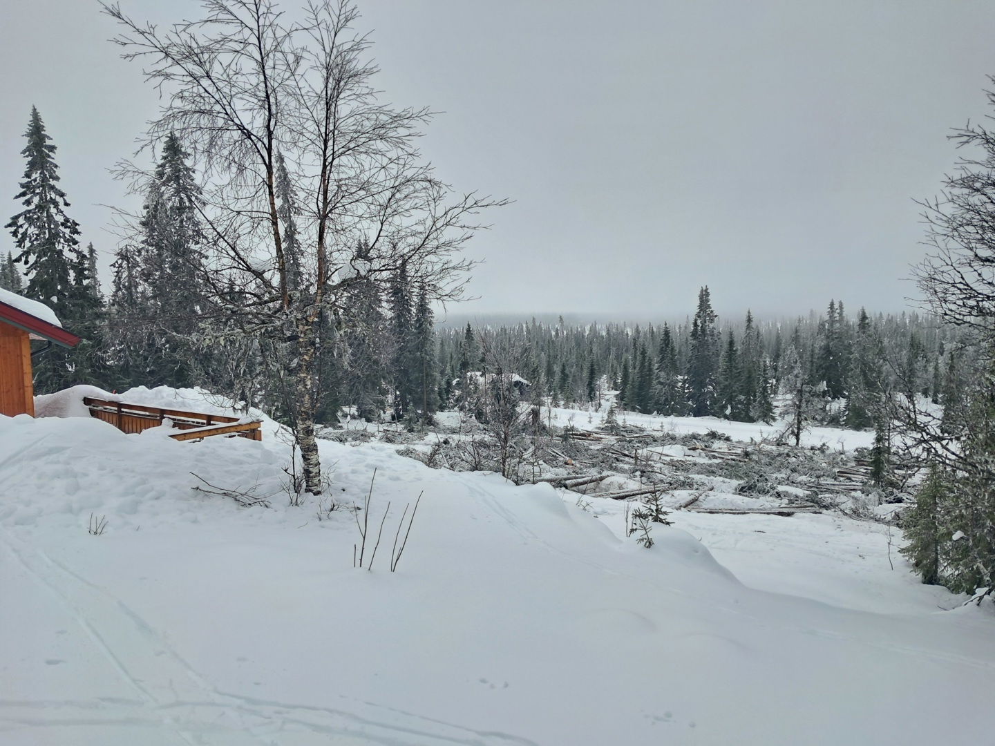 Opprydding etter hogsten?