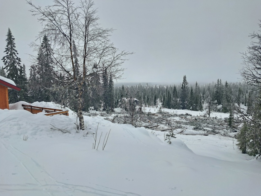 Opprydding etter hogsten?