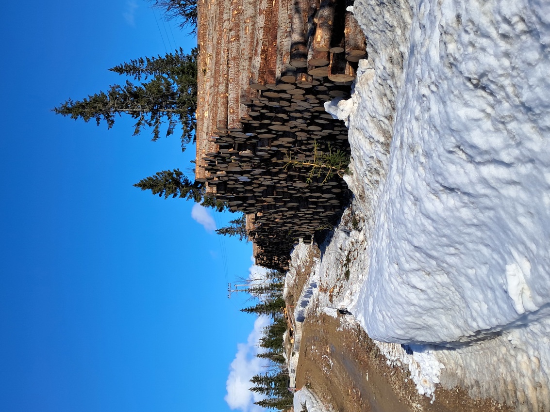 Vær obs - hold avstand til tømmerveltene
