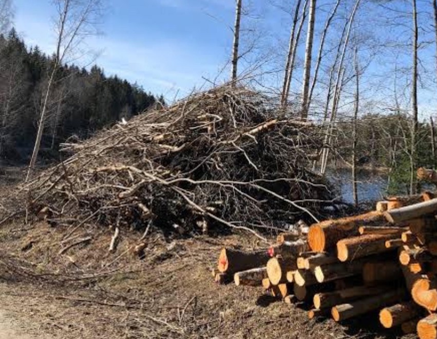 Behov for opprydding, og plan for henting av kvist
